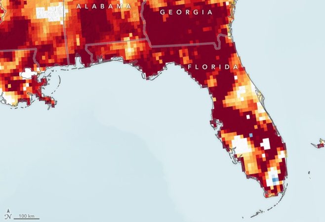 Drought-Parched Florida Mapped from Space 
