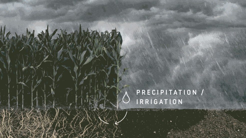 Evapotranspiration Watching Over Water Use Sensors and Systems