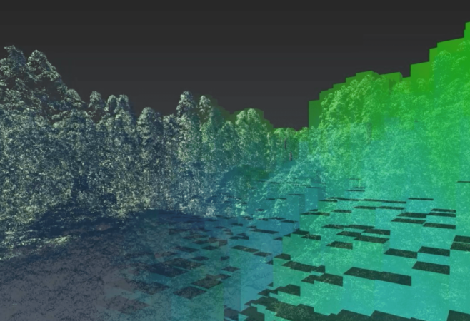 Green Cubes: A Digital Revolution for Rainforest Conservation 
