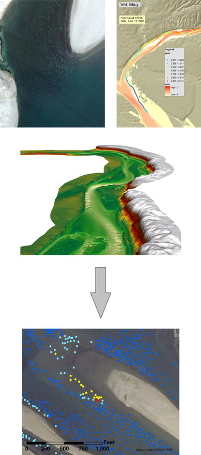 Fig. 14 - Using aerial imagery, modeled hydrodynamic variables, and channel bathymetry, the ALCP is attempting to automatically capture salmon spawning beds and predict where other spawning beds are likely to exist.