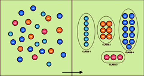 Fig. 1 - The basic process of classification groups univariate or multivariate input data similar or near-similar data into groupings based on a set of rules.